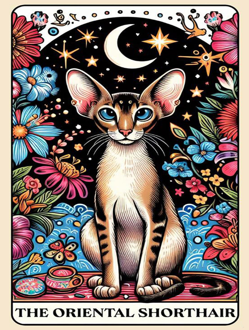 Tarot/Cats Diamond Painting Kit